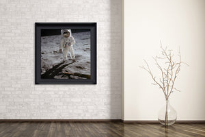Edwin Aldrin - Apollo 11