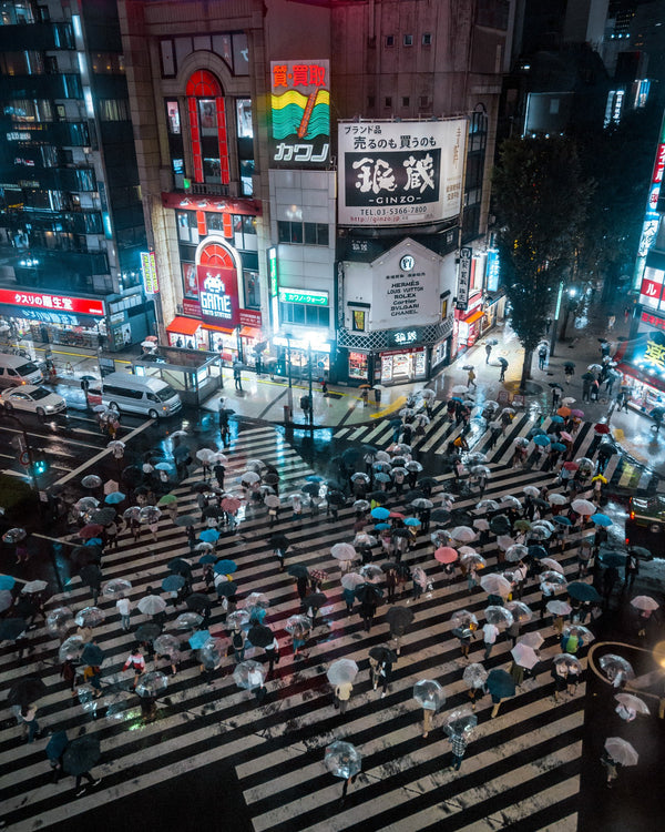 Rainy Nights at Shinjuku Crossing